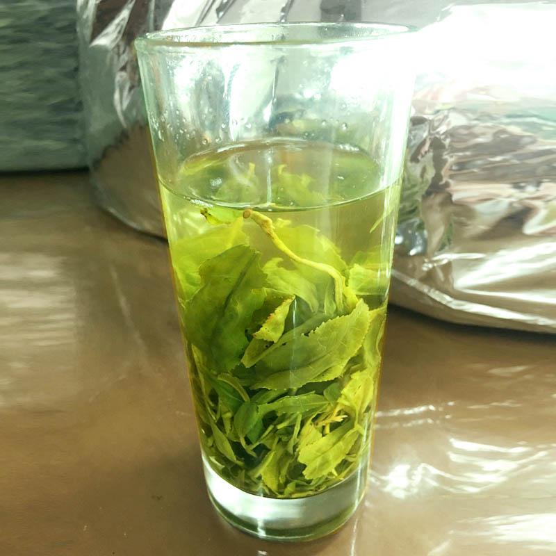 大鄣山茶简介